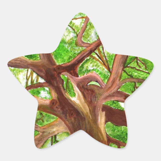 Sticker Étoile Arbre de chêne (Devant)