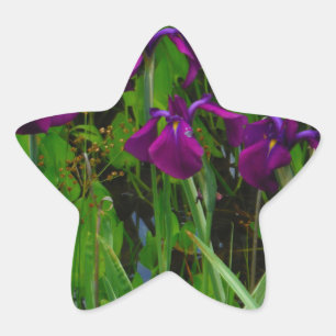 Sticker Étoile Belle Iris Violet