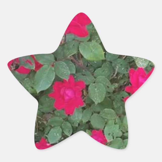 Sticker Étoile Belles Fleurs (Devant)