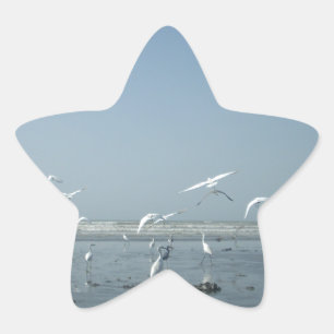 Sticker Étoile Belles grues volant au-dessus de l'eau Ballet de l