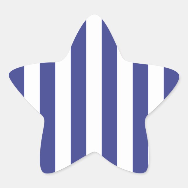 Sticker Étoile Bleu et blanc (Devant)