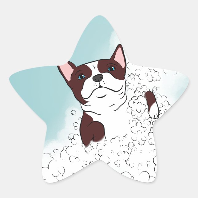Sticker Étoile Boston Terrier Bath (Devant)
