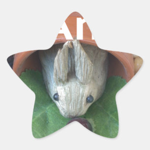 Sticker Étoile Bunny Home Honey Am Home