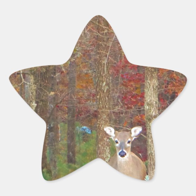 Sticker Étoile Cerf de Noël (Devant)