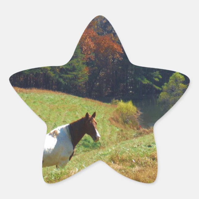 Sticker Étoile Cheval blanc et Brown, étang d'automne (Devant)
