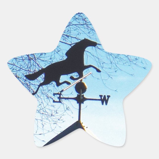 Sticker Étoile Cheval Vane Météo Ciel Bleu (Devant)