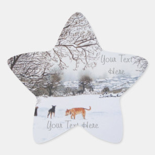 Sticker Étoile chiens jouer hiver neige paysage paysage paysage