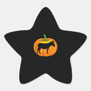 Sticker Étoile Citrouille Donkey Objets d'Halloween Drôle