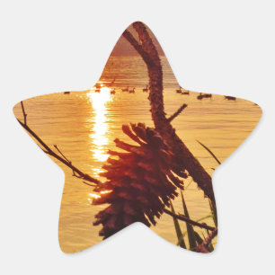 Sticker Étoile Coucher de soleil du lac Pinecone