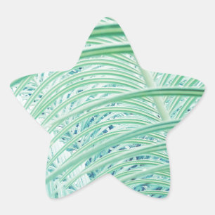 Sticker Étoile Feuille de palmier de plante verte douce