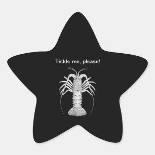 Sticker Étoile Florida Keys Spiny Lobster Ticker Me, S'Il Vous Pl