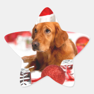 Sticker Étoile Golden Retriever Chien W Red Santa Chapel Noël