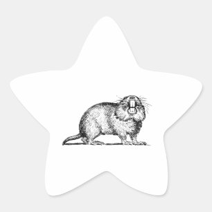 Sticker Étoile Gopher