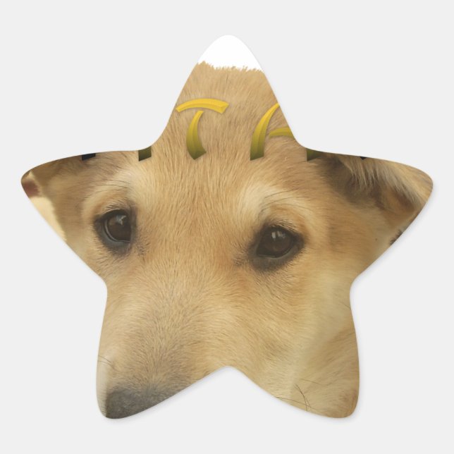 Sticker Étoile "Hakuna Matata Pup" - Insouciant Amour des chiots (Devant)