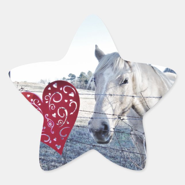 Sticker Étoile HORSE coeur Valentine (Devant)