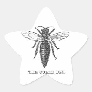 Sticker Étoile Illustration Antique d'Insecte de Bourdon Reine Ab