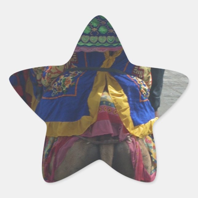 Sticker Étoile Imprimé/graphique en forme de chameau (Devant)