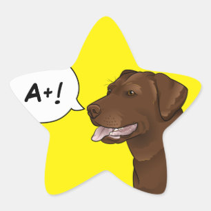 Sticker Étoile Labrador Dog Enseignant bonne note