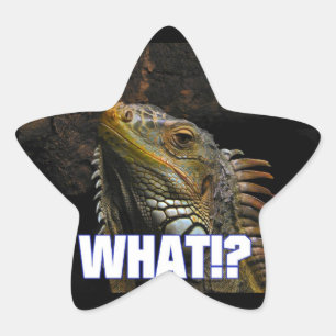 Sticker Étoile Le Quoi ! ? Iguana