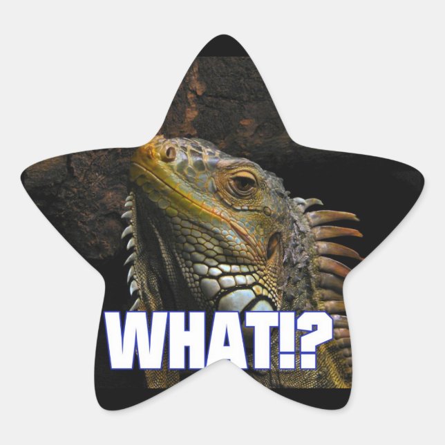 Sticker Étoile Le Quoi ! ? Iguana (Devant)