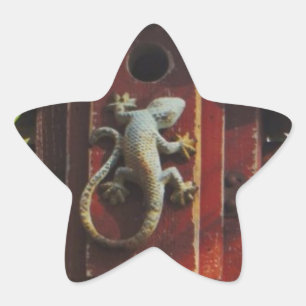 Sticker Étoile lézard gris sur bois usé
