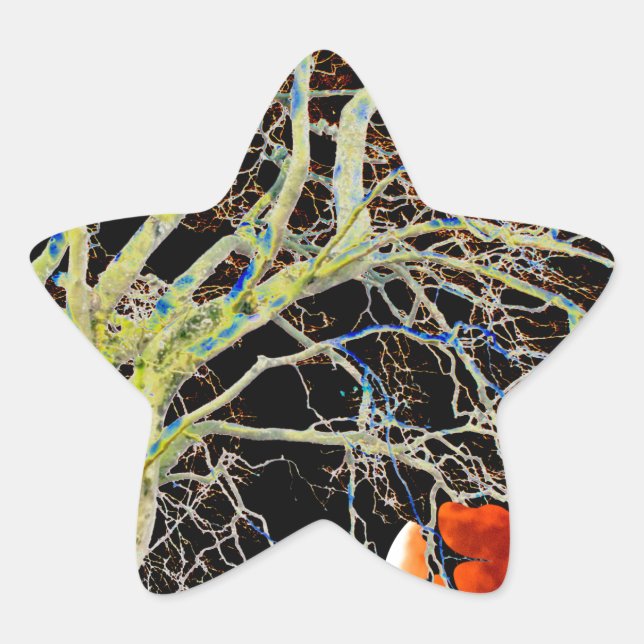 Sticker Étoile Lune rouge se lève (Devant)