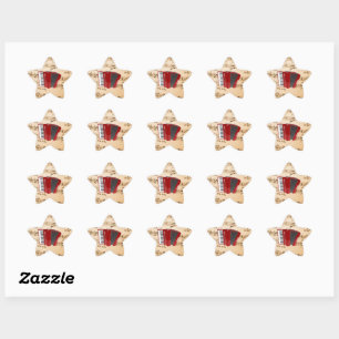 Sticker Étoile Musique d'accordéon, design populaire,