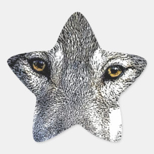 Sticker Étoile OEuvre Wolf Eyes