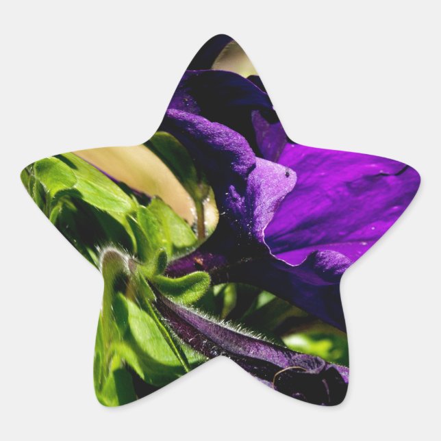 Sticker Étoile Panique violette (Devant)