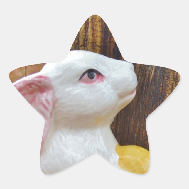 Sticker Étoile Pays Lapin de Pâques (Devant)