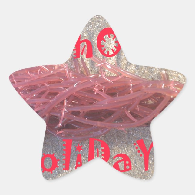 Sticker Étoile Père Noël HoHoHo Joyeux Noël des couleurs de la pl (Devant)