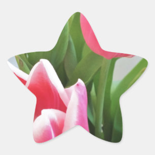 Sticker Étoile Pink Tulips, Floral Spring Bouquet, Flowers