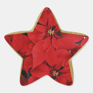 Sticker Étoile Poinsettias en forme d'étoile de Noël