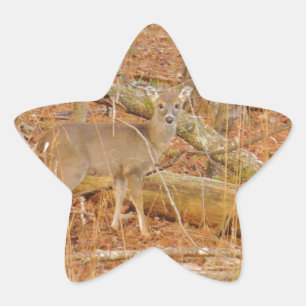 Sticker Étoile Premier hiver du Cerf de Bébé