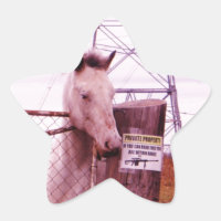 Propriété privée lavender Horse