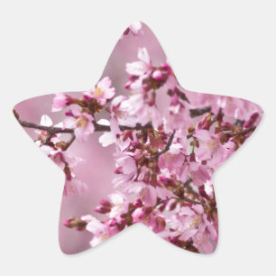 Sticker Étoile Sakura Cherry Blossoms Pastel Pink Layers