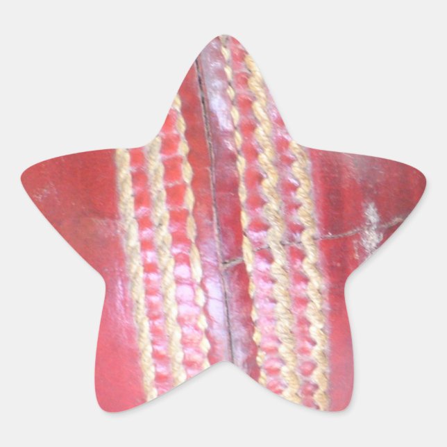 Sticker Étoile Spin Master's Sphere : Une balle de cricket à gauc (Devant)