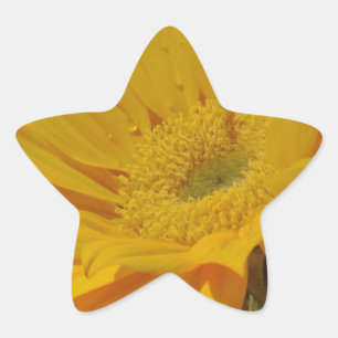 Sticker Étoile Tournesol jaune