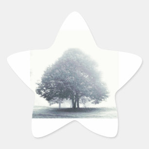 Sticker Étoile Un arbre dans le brouillard