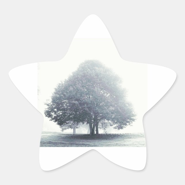 Sticker Étoile Un arbre dans le brouillard (Devant)
