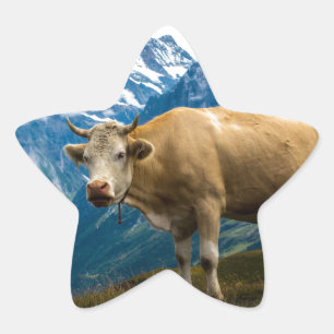 Sticker Étoile Vache à Grindelwald - Alpes de Bernese - la Suiss