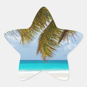 Sticker Étoile Wish you were !