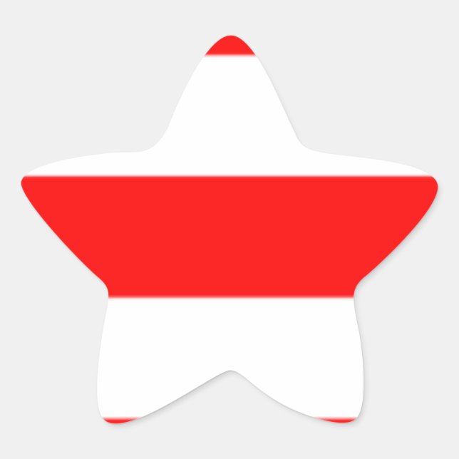 Sticker Étoile Xmas (Devant)