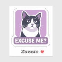 Excusez-Moi ? Mème de Chat – Illustration de Chat