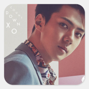 Sticker EXO Sehun