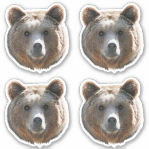 Sticker Face de l'ours grizzli