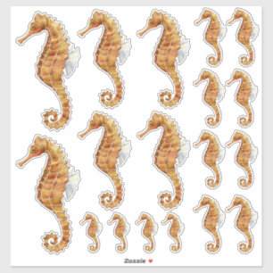 Sticker Famille Seahorse 18 Aquarelle Peint Transparent