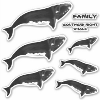 STICKER FAMILLE SUD-DROITE BALEINE