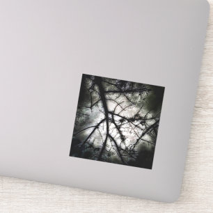 Sticker Fermeture