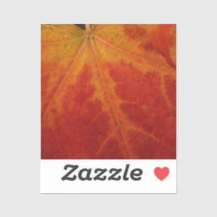 Sticker Feuille d'érable rouge Abstraite Automne Photograp